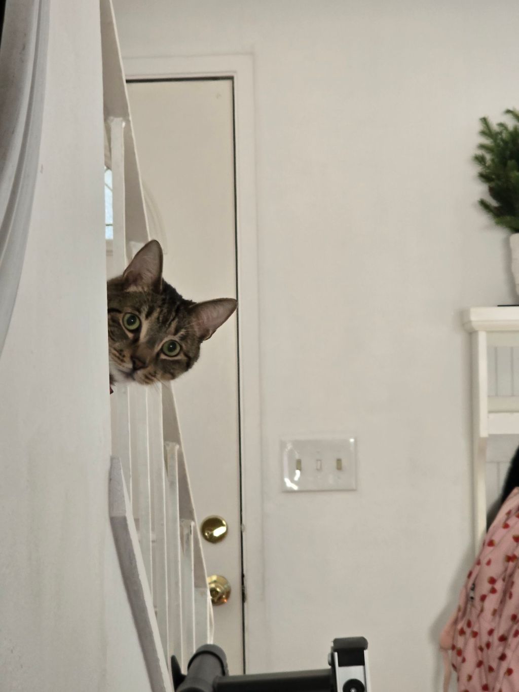 20250105_1050025927300973805122888