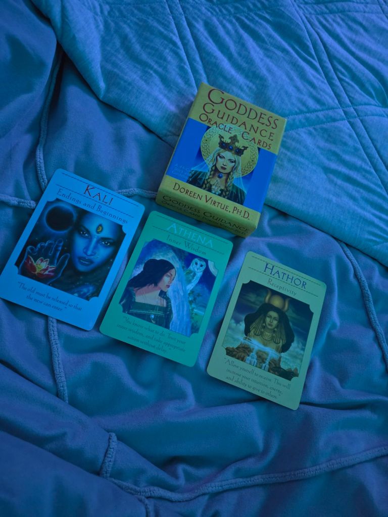 20250528_2312287621571579511859227