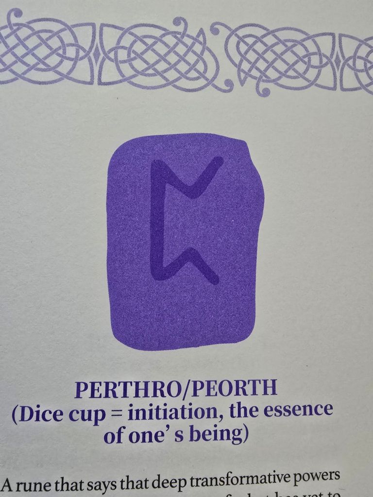 20250819_1823125562671142452811937