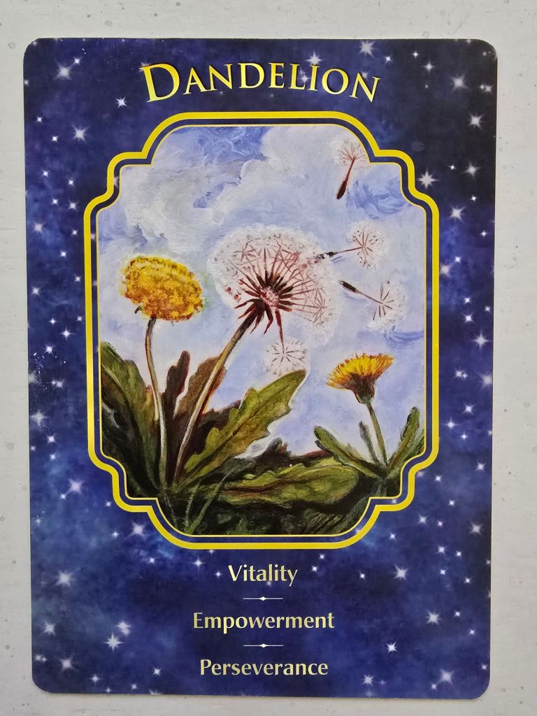 20251206_114836279858531884404832