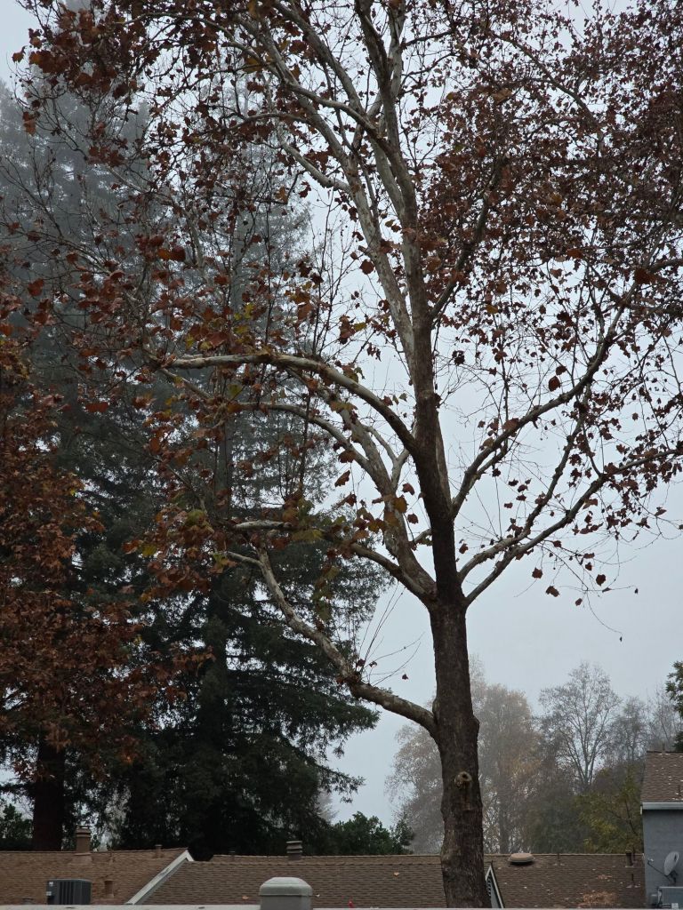 20251213_071641737941799708148360