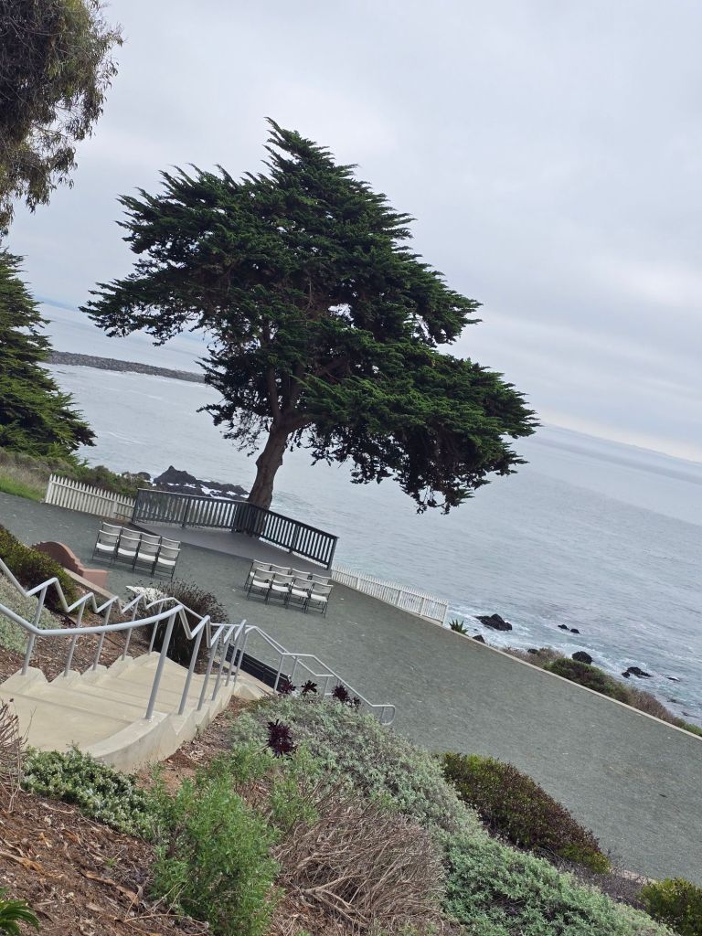 20251213_1220392207480887982927300