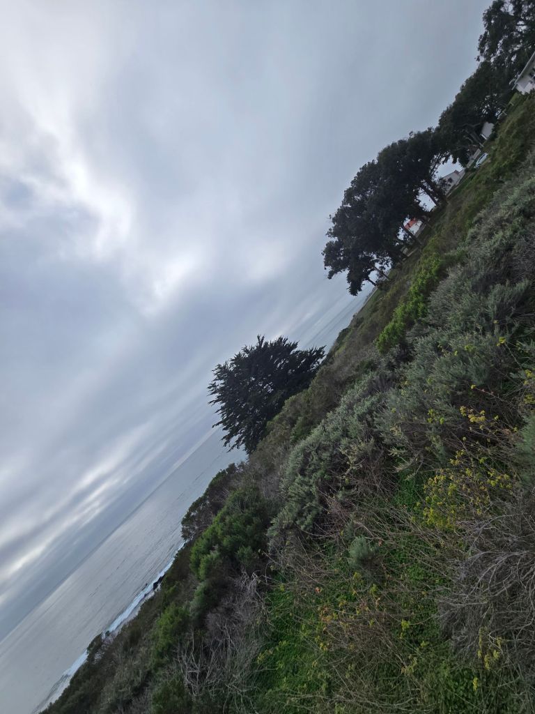 20251213_1333112131392354394690240