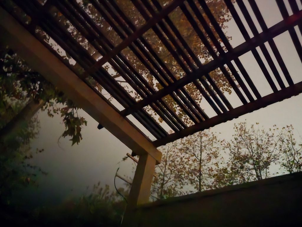 Our December Mini Moon: A Love Story Written in Fog, Forests, and Forgotten&nbsp;Stories