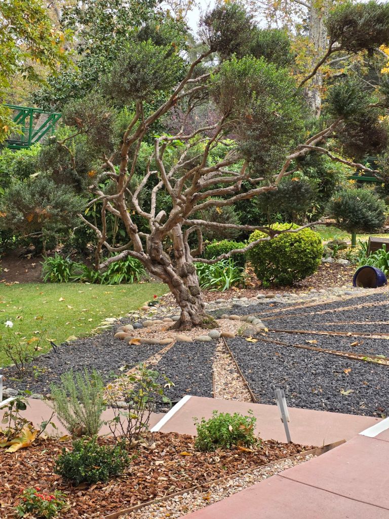 20251214_1043122050478211298141661