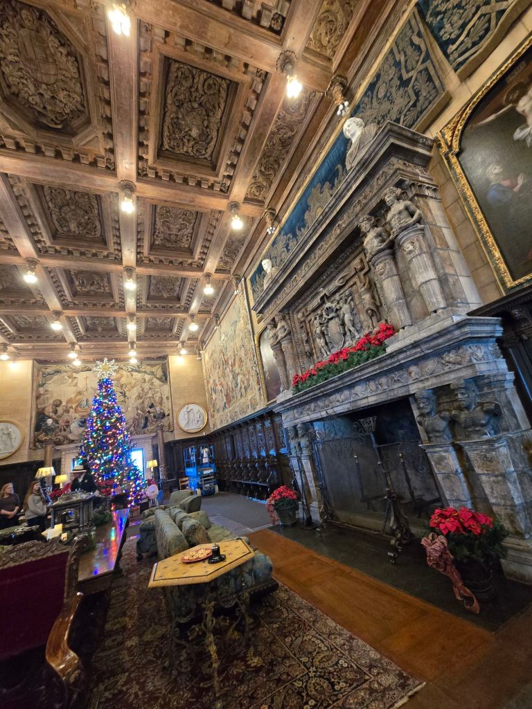 20251214_1409411621055673826860999