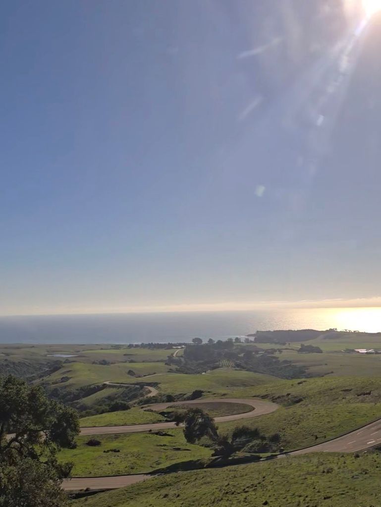 aiselect_20260129_155805_gallery3471616775394398209