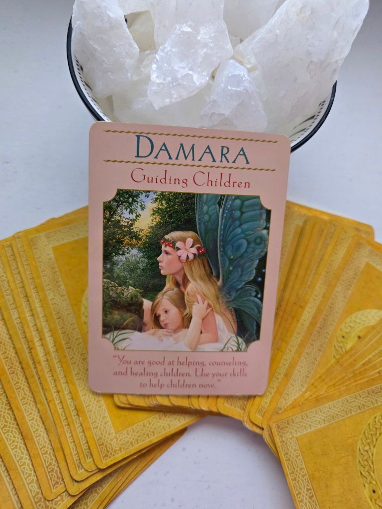 20260215_1717423418717698890286613